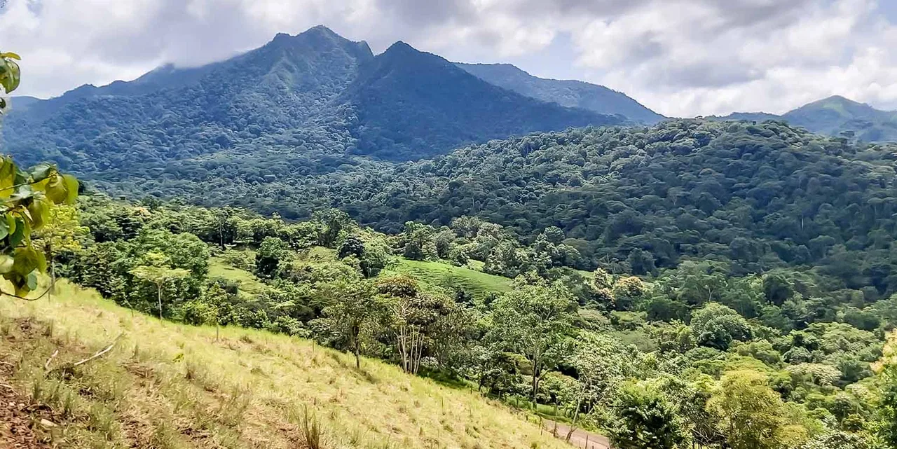 Finca Agropecuaria La Cangreja in Puriscal, photo 2