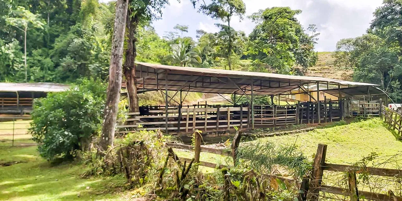 Finca Agropecuaria La Cangreja in Puriscal, photo 3