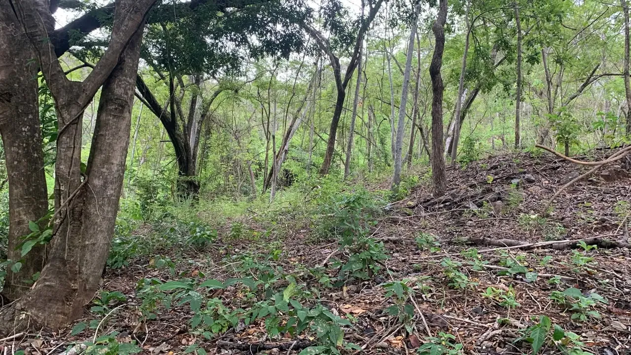 Beautiful lot with water and electricity, residential and commercial use., photo 9