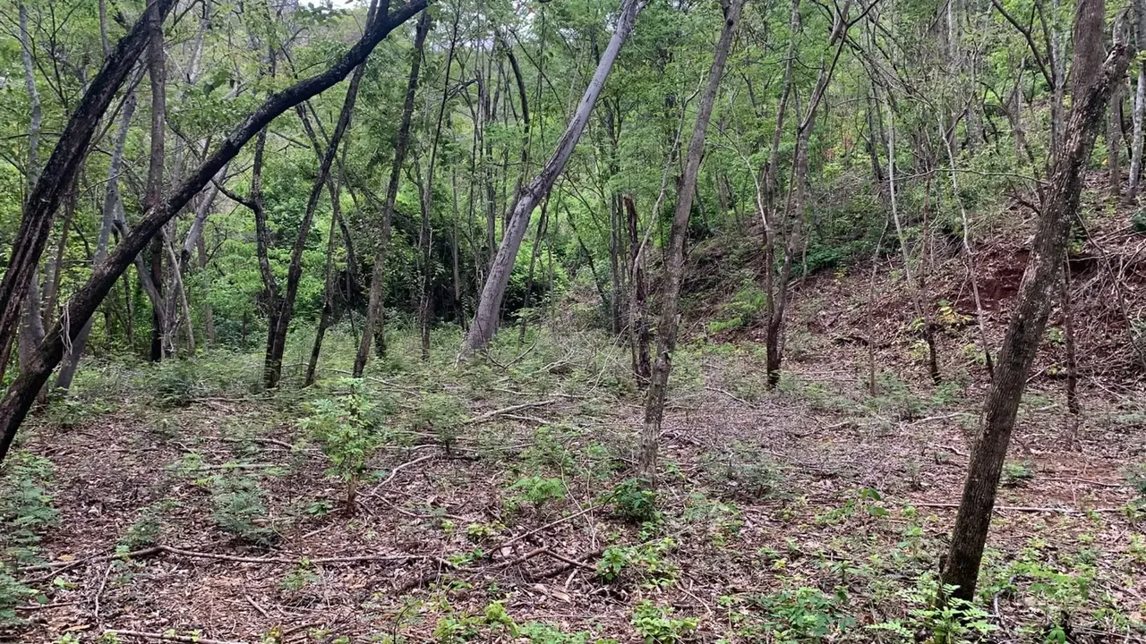 Beautiful lot with water and electricity, residential and commercial use., photo 10