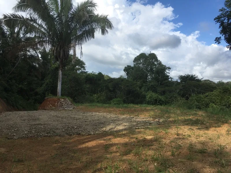 Land For Sale in Samara, photo 4