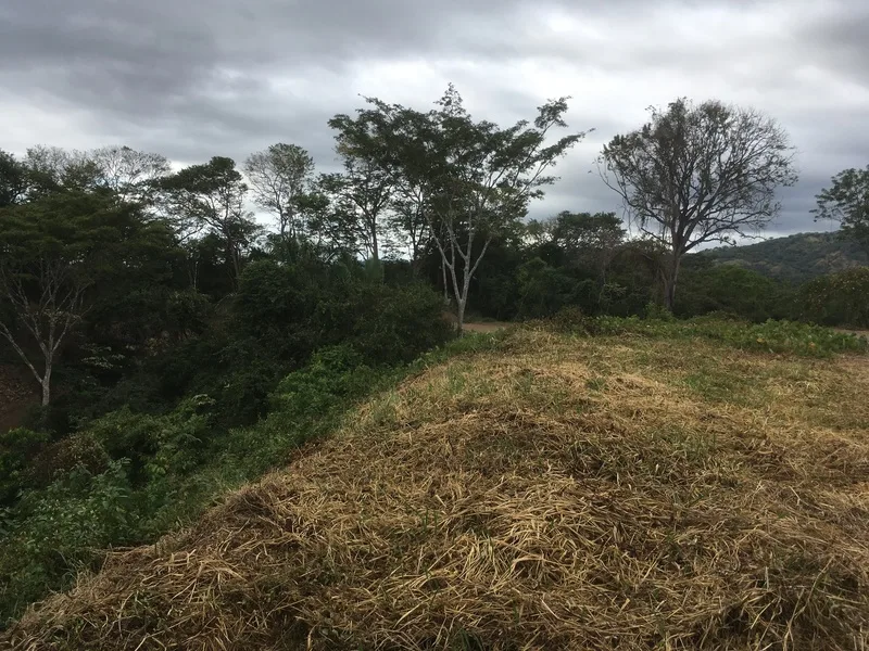 Land For Sale in Samara, photo 6