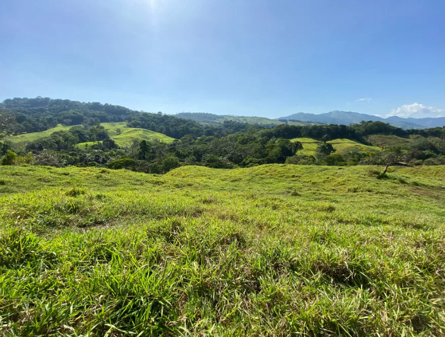 PANORAMIC MOUNTAIN VIEW FARM WITH LEGAL WATER – 9.24 ACRES