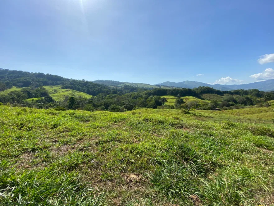 PANORAMIC MOUNTAIN VIEW FARM WITH LEGAL WATER – 9.24 ACRES, photo 2