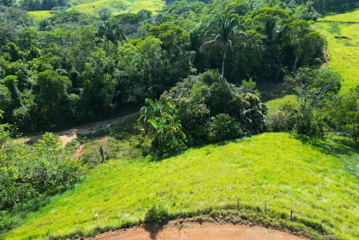 PANORAMIC MOUNTAIN VIEW FARM WITH LEGAL WATER – 9.24 ACRES, photo 12