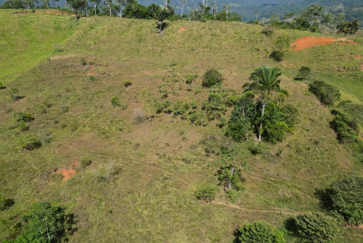 PANORAMIC MOUNTAIN VIEW FARM WITH LEGAL WATER – 9.24 ACRES, photo 22