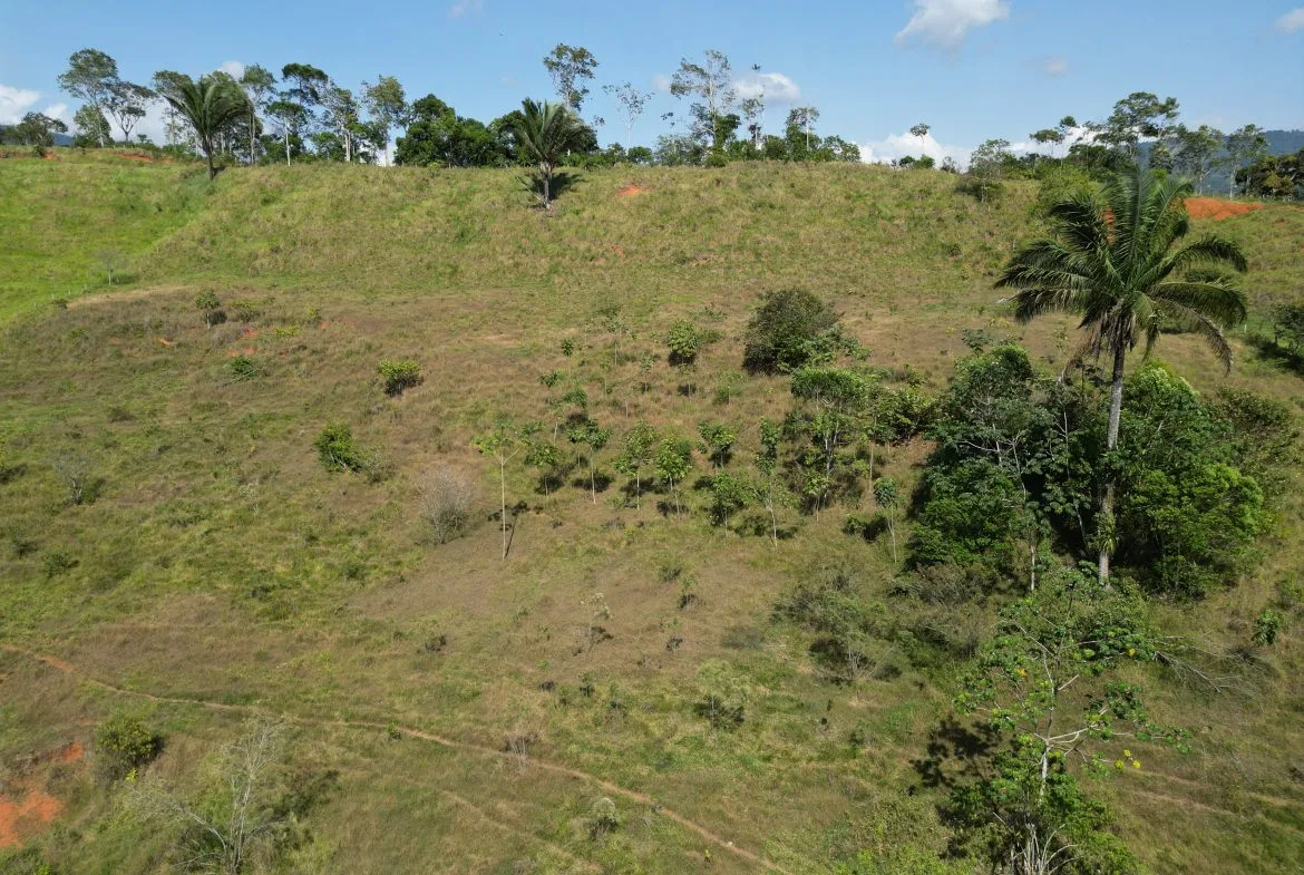 PANORAMIC MOUNTAIN VIEW FARM WITH LEGAL WATER – 9.24 ACRES, photo 24