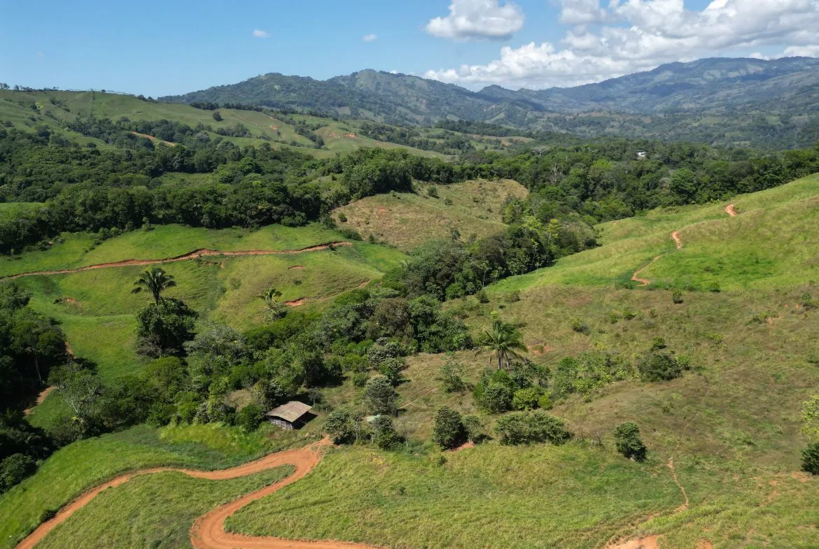 PANORAMIC MOUNTAIN VIEW FARM WITH LEGAL WATER – 9.24 ACRES, photo 4