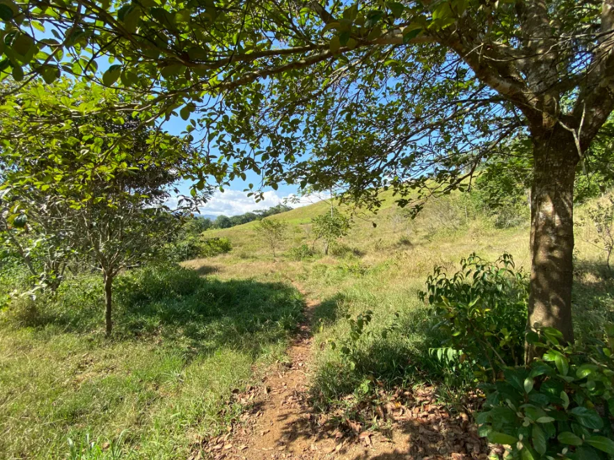 PANORAMIC MOUNTAIN VIEW FARM WITH LEGAL WATER – 9.24 ACRES, photo 5