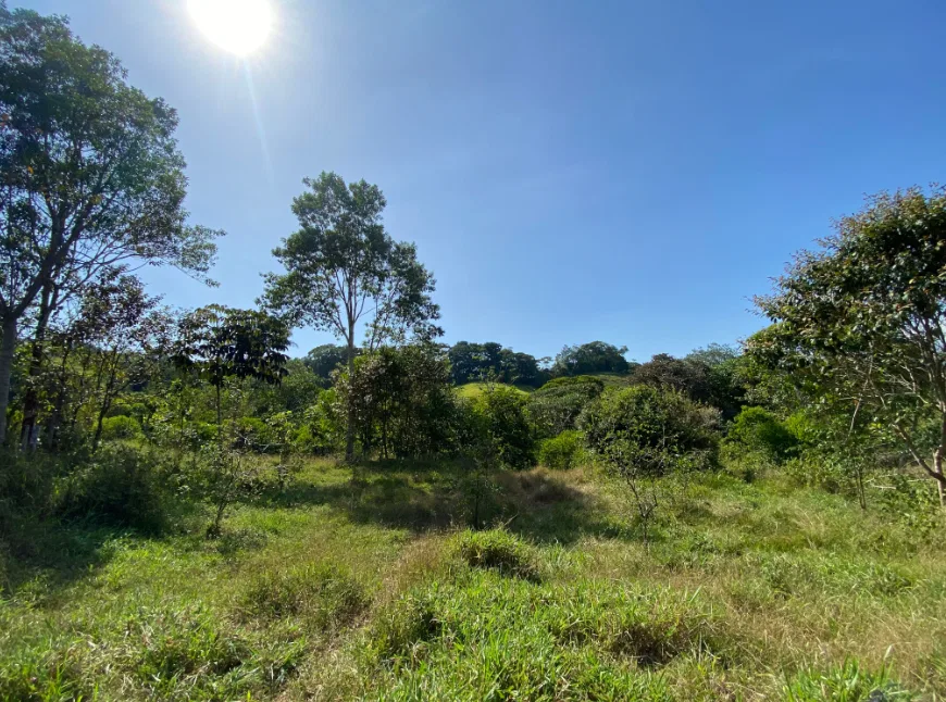 PANORAMIC MOUNTAIN VIEW FARM WITH LEGAL WATER – 9.24 ACRES, photo 8