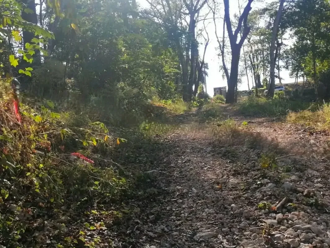 Amazing Tropical Mountain Lot for Sale - Santa Teresa