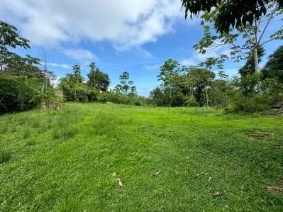 Sunrise And Sunset Views, Highway Frontage, Legal AYA Water, Many Mature Fruit Trees!!!!, photo 2