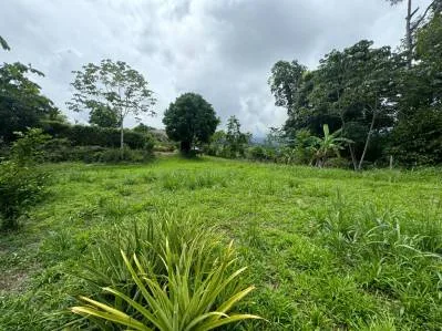 Sunrise And Sunset Views, Highway Frontage, Legal AYA Water, Many Mature Fruit Trees!!!!, photo 3