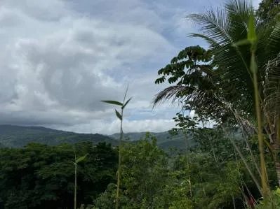 Sunrise And Sunset Views, Highway Frontage, Legal AYA Water, Many Mature Fruit Trees!!!!, photo 5