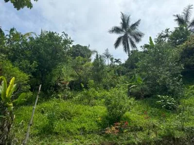 Sunrise And Sunset Views, Highway Frontage, Legal AYA Water, Many Mature Fruit Trees!!!!, photo 6