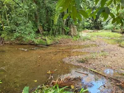 Un refrescante refugio a orillas del río en Ojochal., photo 7