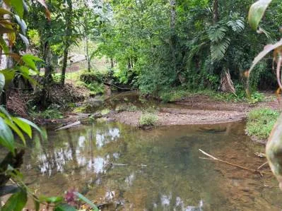 Un refrescante refugio a orillas del río en Ojochal., photo 9
