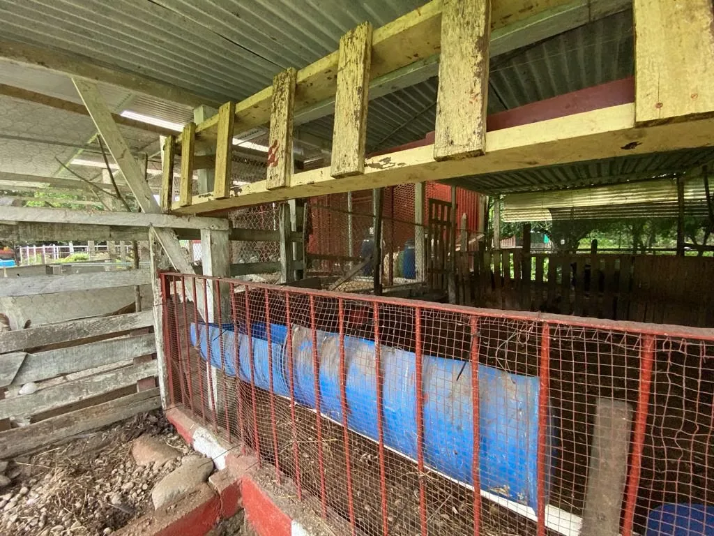 La propiedad por sus años de inversión y mantenimiento está lista para recibirle a usted con su familia para disfrutar al ..., photo 15
