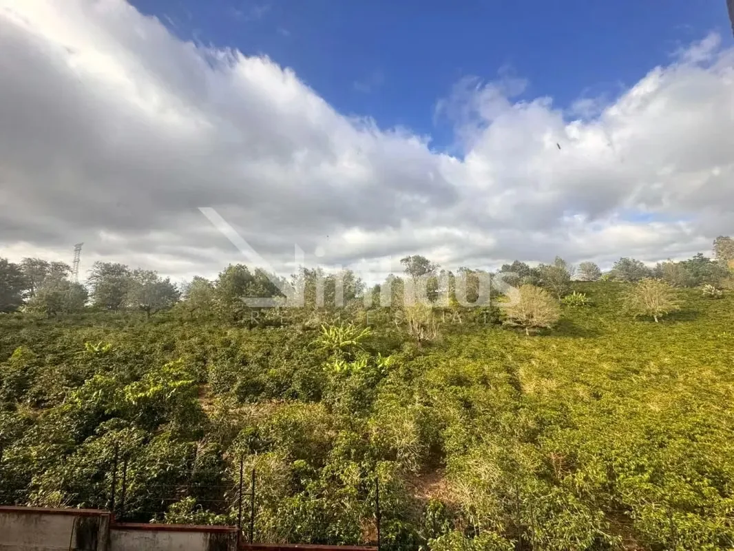 La sensación de amplitud que se percibe en este apartamento y la insuperable vista a las montañas. El diseño interior distribuye dos habitaciones amplias, la principal con walking ..., photo 6