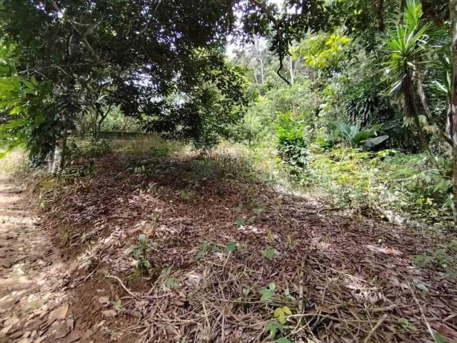 LOTE EN VENTA EN COSTA RICA NATURALEZA Y PRIVACIDAD - Venta en Perez Zeledón, photo 12
