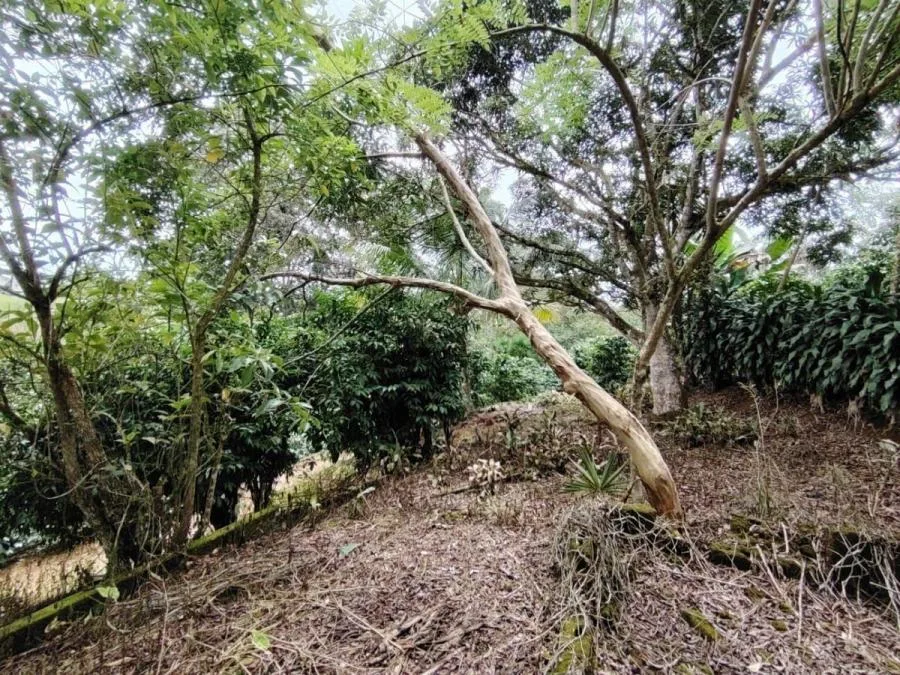 LOTE EN VENTA EN COSTA RICA NATURALEZA Y PRIVACIDAD - Venta en Perez Zeledón, photo 13