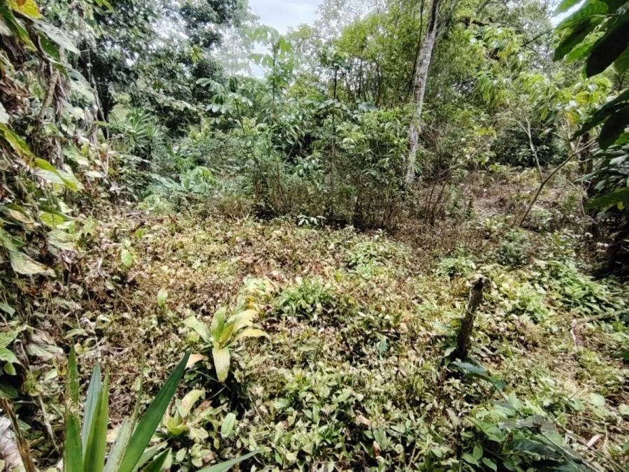 LOTE EN VENTA EN COSTA RICA NATURALEZA Y PRIVACIDAD - Venta en Perez Zeledón, photo 7