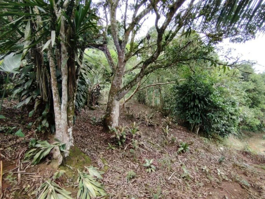 LOTE EN VENTA EN COSTA RICA NATURALEZA Y PRIVACIDAD - Venta en Perez Zeledón, photo 9