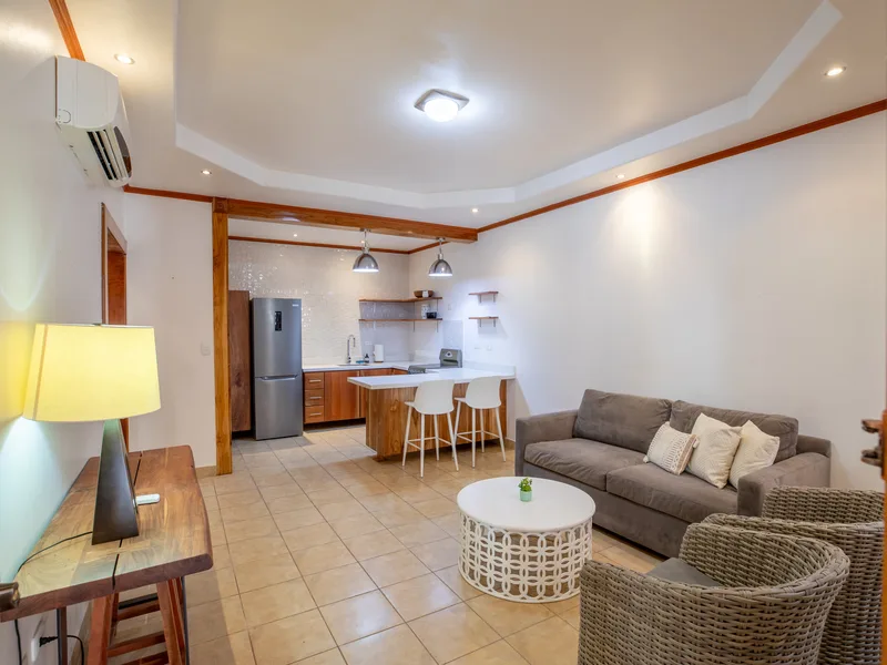 2 Bed Condo For Sale in Nosara, photo 4