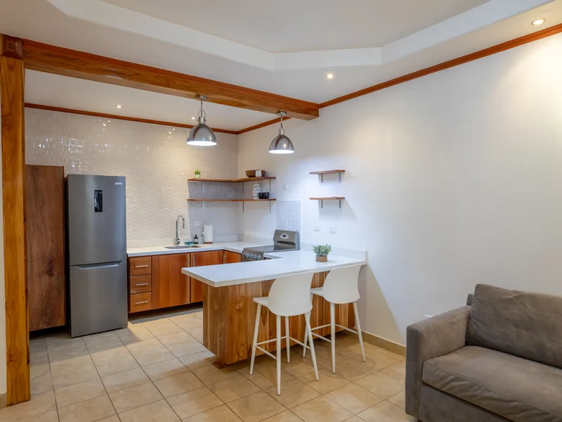 2 Bed Condo For Sale in Nosara, photo 8
