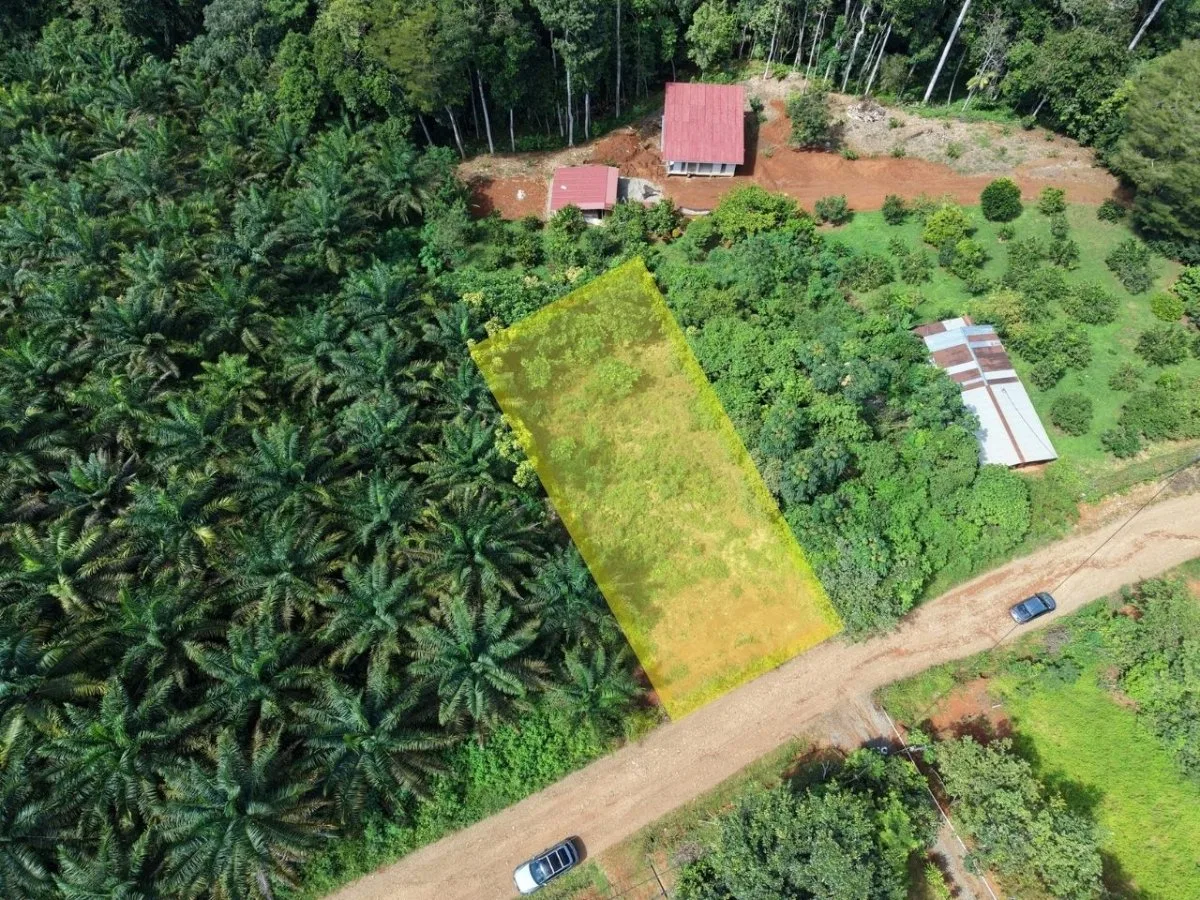 SE VENDE TERRENO LISTO PARA CONSTRUIR EN LAS BRISAS DE CAJON - Venta en Pérez Zeledón