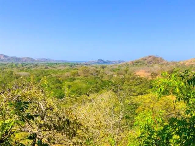 Vista Flamingo Ocean View Lot, photo 5