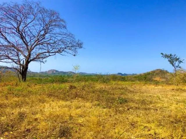 Vista Flamingo Ocean View Lot