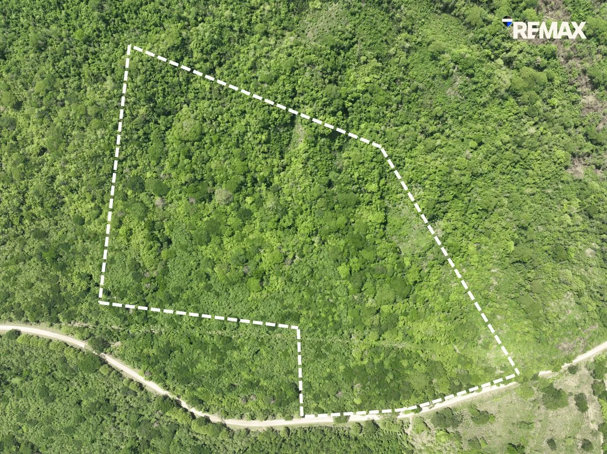 Cacao Farm with Irrigation &amp; Public Road Frontage | 130,660 m² | La Fresca, Lepanto, Puntarenas, photo 2