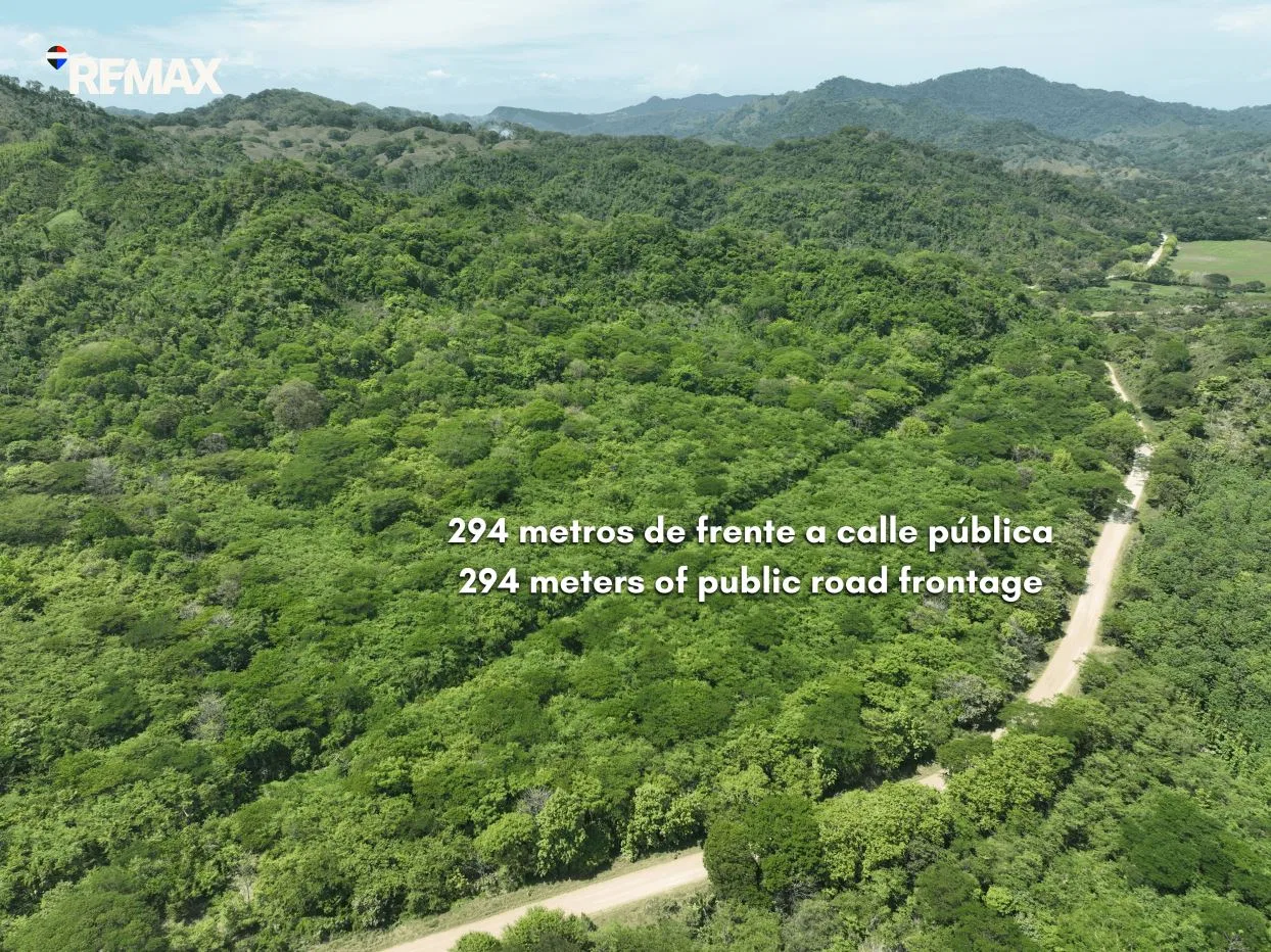 Cacao Farm with Irrigation &amp; Public Road Frontage | 130,660 m² | La Fresca, Lepanto, Puntarenas, photo 3