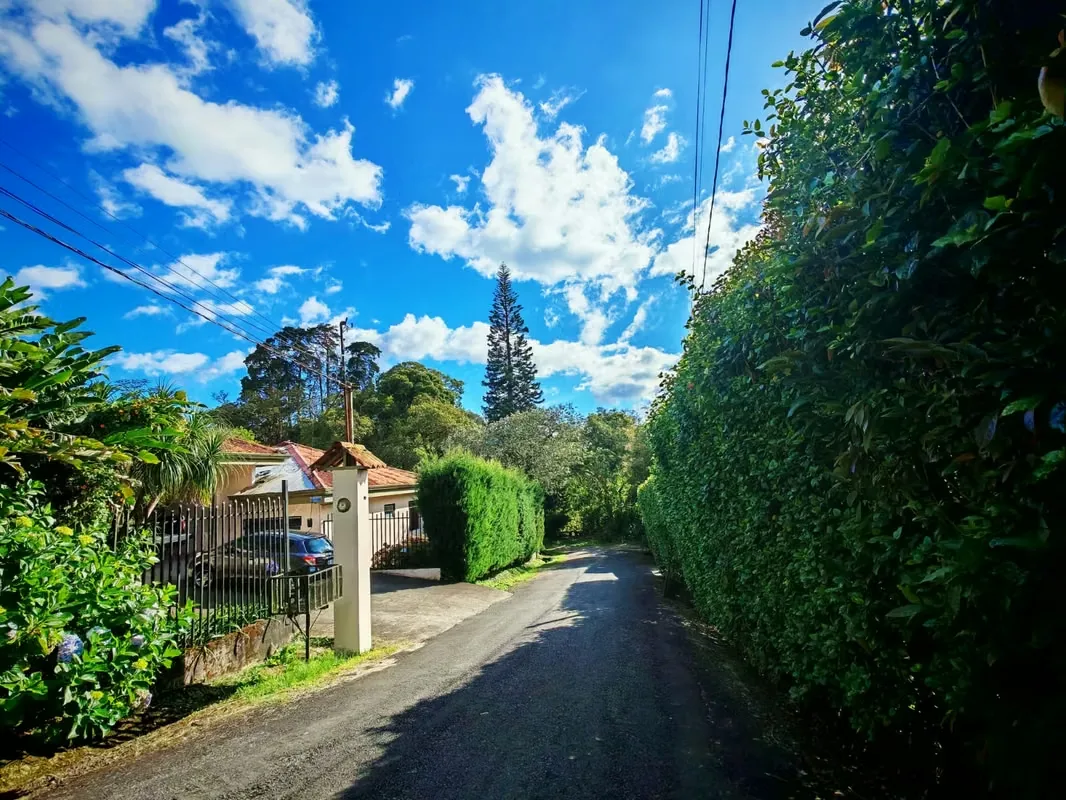 Residential House for Sale in Los Alpes de Coronado, photo 3