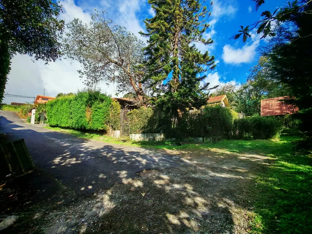Residential House for Sale in Los Alpes de Coronado, photo 4