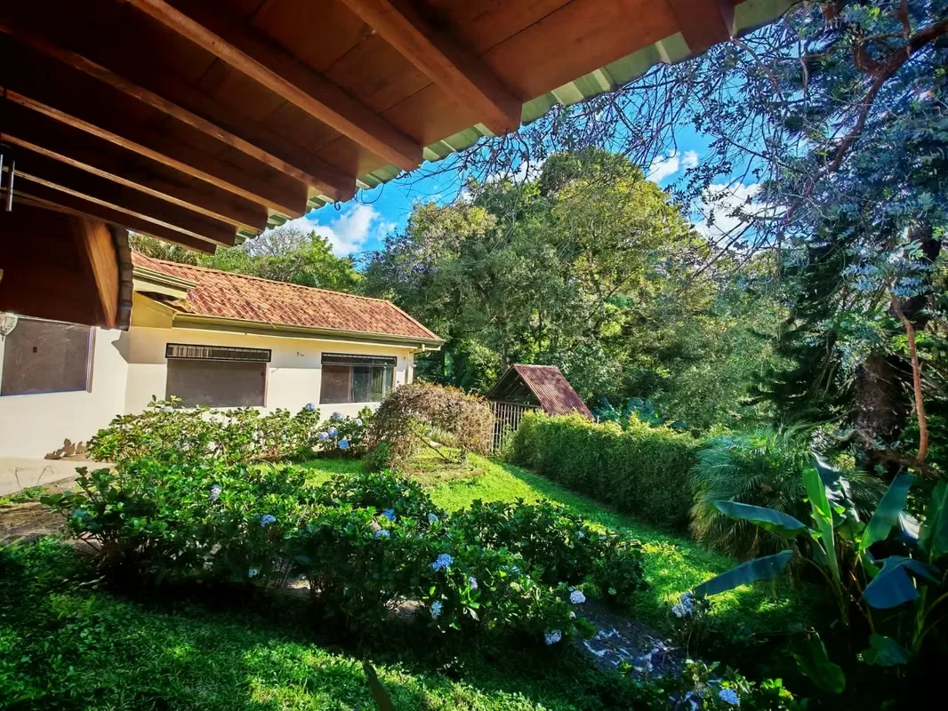 Residential House for Sale in Los Alpes de Coronado, photo 5