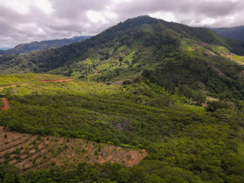 Land For Sale in Perez Zeledon, photo 13