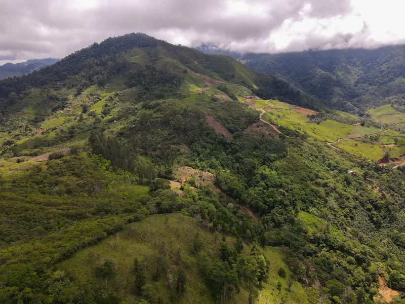 Land For Sale in Perez Zeledon, photo 14
