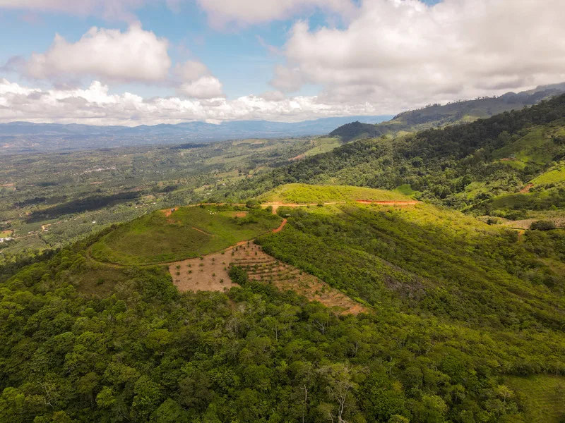 Land For Sale in Perez Zeledon, photo 5
