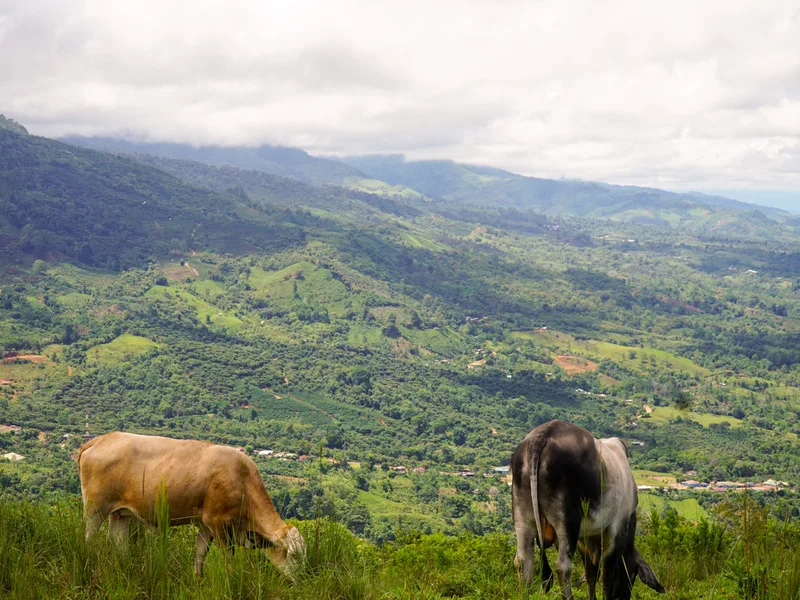 Land For Sale in Perez Zeledon, photo 7