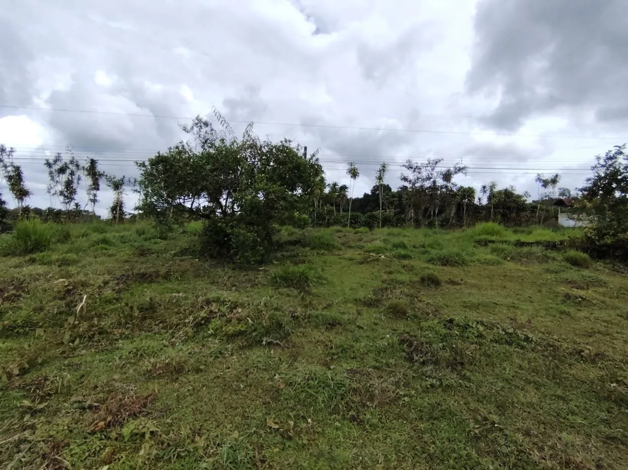For Sale - 1752 M² Lot In Santa Elena, Secure Area With High Value Growth, photo 13