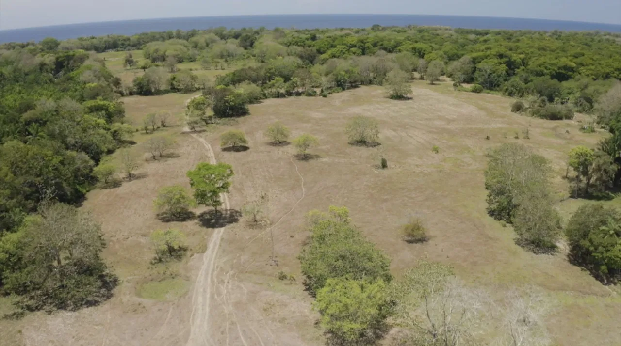 PROPERTY NEAR TO THE BEACH, IN MATAPALO – 170 ACRES