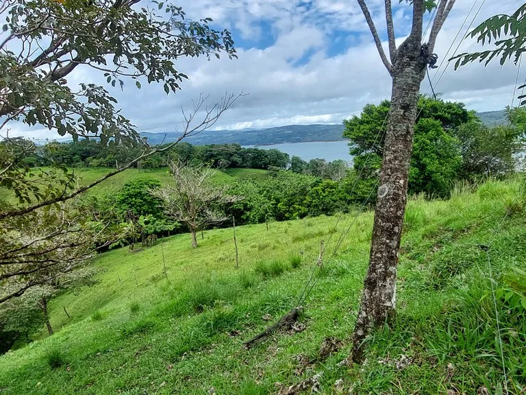 Home Construction Site in Tierras Morenas, photo 2
