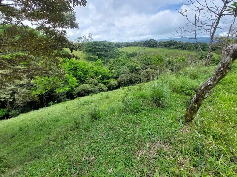 Home Construction Site in Tierras Morenas, photo 4