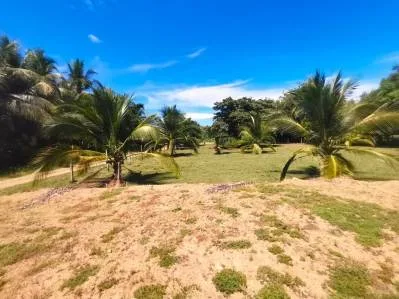 Terreno plano con fácil acceso, ideal para negocios o vivienda,al lado de la carretera Costanera, photo 2