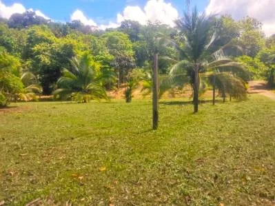 Terreno plano con fácil acceso, ideal para negocios o vivienda,al lado de la carretera Costanera, photo 3
