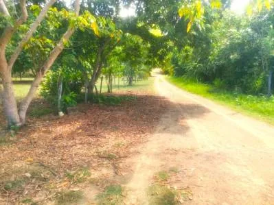 Terreno plano con fácil acceso, ideal para negocios o vivienda,al lado de la carretera Costanera, photo 4