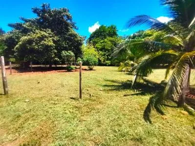 Terreno plano con fácil acceso, ideal para negocios o vivienda,al lado de la carretera Costanera, photo 5