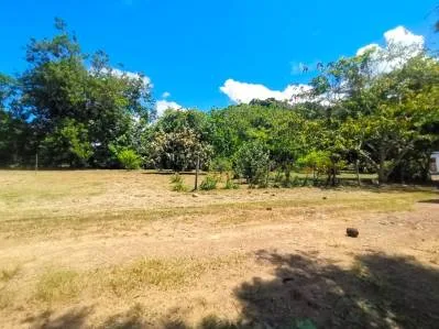 Terreno plano con fácil acceso, ideal para negocios o vivienda,al lado de la carretera Costanera, photo 6